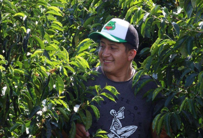 Finca Artemira - Ebert Huaman - Washed Gesha - Peru