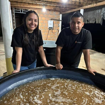 Edinson Argote Gesha : Brian Quan x Newbery St. Collaboration 114g