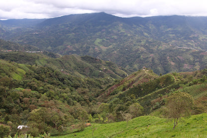 El Paraiso Village - Smallholder Farmers - Natural Field Blend - Peru
