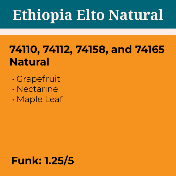 Ethiopia Elto Natural