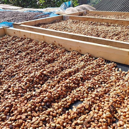 HUAI CHOMPHU ANAEROBIC BLACK HONEY
