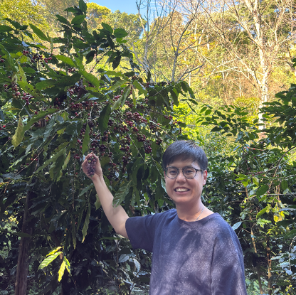 JAROON KHUN LAO NATURAL