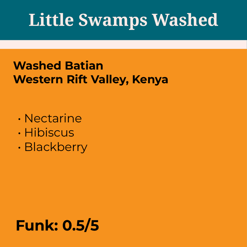 Kenya Little Swamps Washed Batian