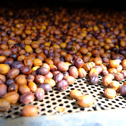 DIEGO BERMUDEZ GESHA