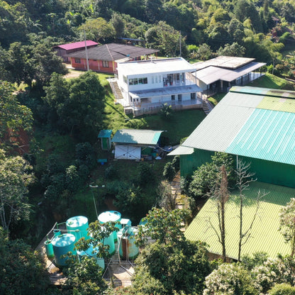 DIEGO BERMUDEZ GESHA