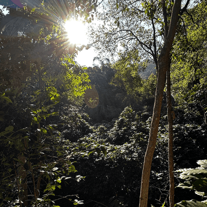 JAROON KHUN LAO NATURAL 10 DAYS