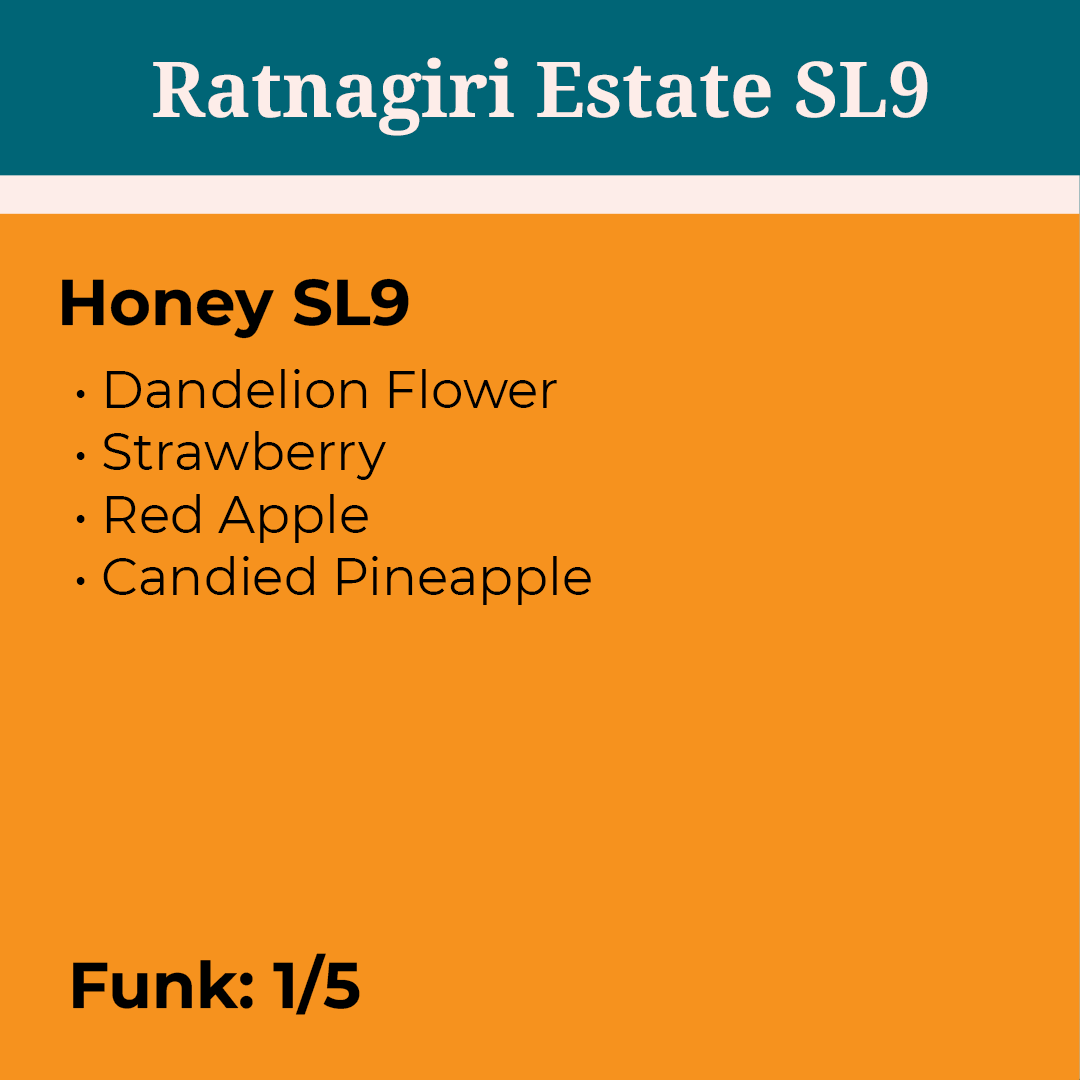 Ratnagiri Honey SL9