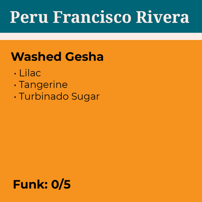 Peru Francisco Rivera Washed Gesha
