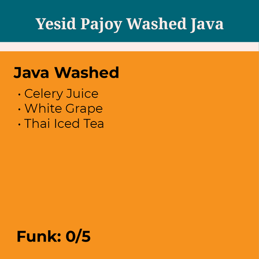 Yesid Pajoy Washed Java